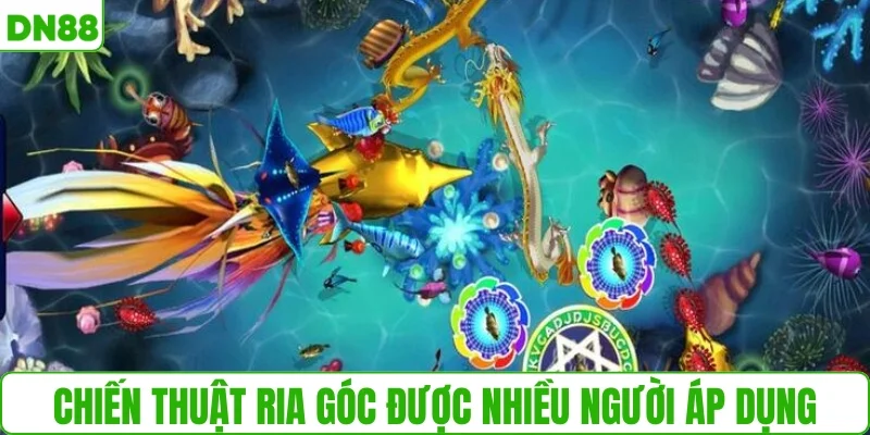 Chiến thuật ria góc được nhiều người áp dụng