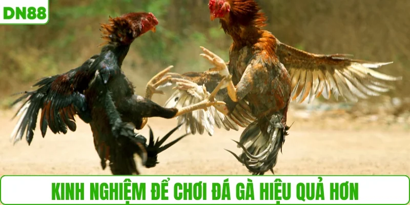Kinh nghiệm để quan sát hiệu quả hơn