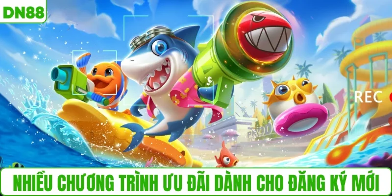 Nhiều chương trình ưu đãi dành cho đăng ký mới