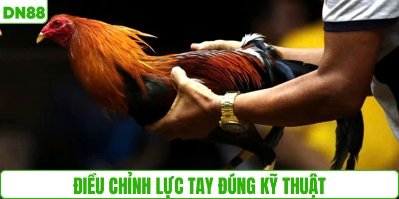 Thực hiện kỹ thuật lực tay đúng chuẩn